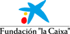 logo_fundacion_lacaixa_color